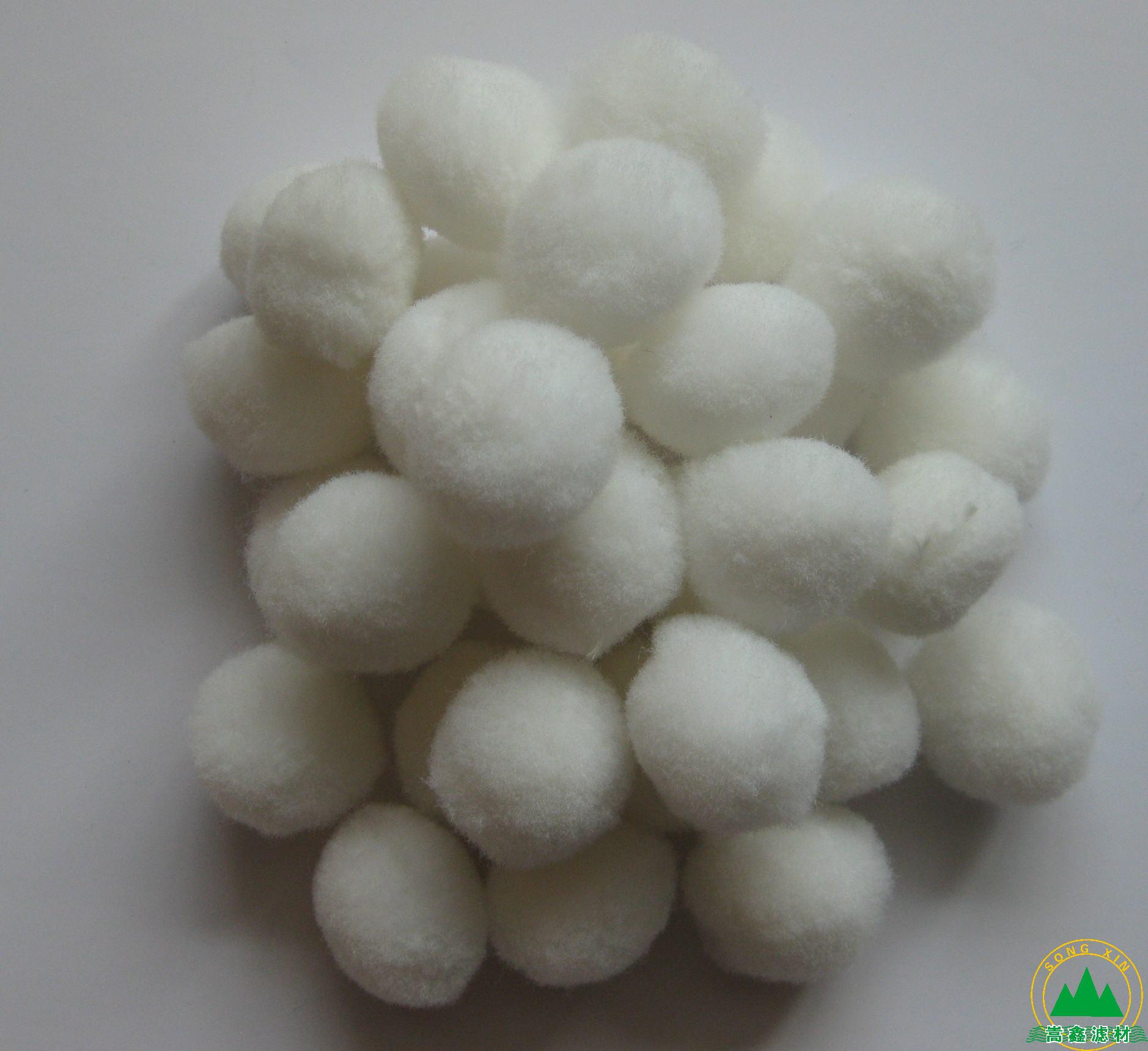 �����w�S��